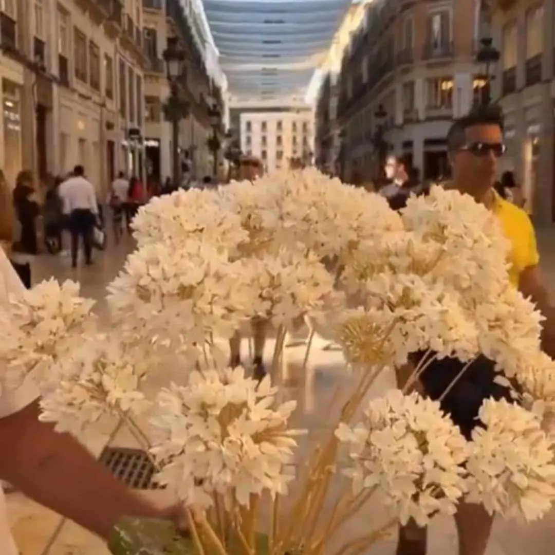 Apartamento Bahia De Málaga